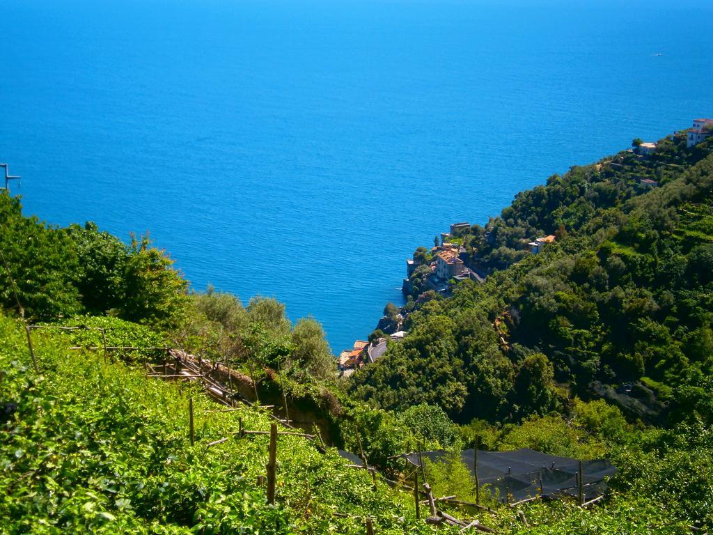 Villa En Rose Ravello Oda fotoğraf
